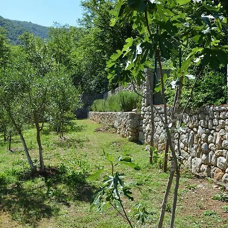 Osha Διαμέρισμα *